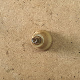 Porsche 356 A Lights Wiper Window Winder Knob Beige Used